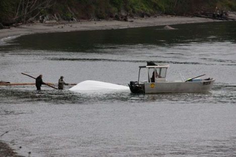 This overturned boat was found beached at Admiralty Inlet on Sunday morning as wind whipped up waves during the weekend.