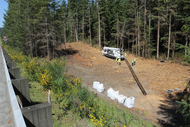 Puget Sound Energy workers have cleared forest adjacent to Highway 525 as part of the $10 million Maxwelton substation project. Transmission lines will eventually be routed across the road and will cause a future closure on the highway.