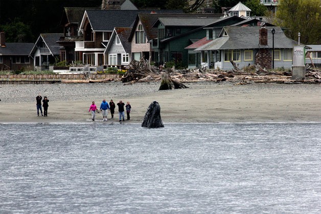 In this iconic image by Jill Hein