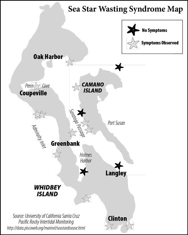 Star fish have been washing ashore on the beaches of Whidbey and Camano islands.