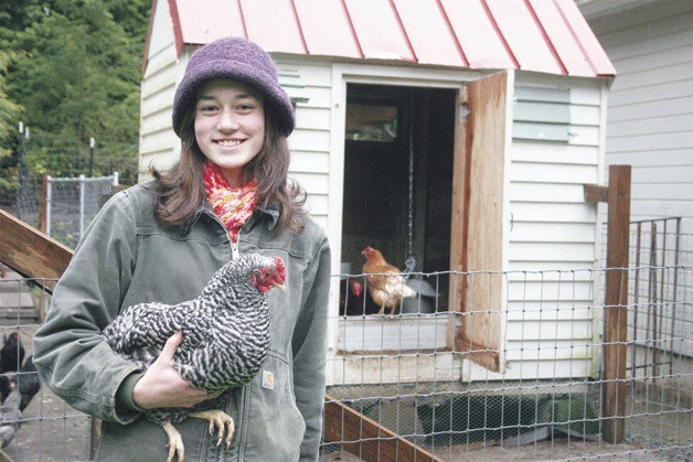 Kelly Uhlig holds a Teri Barred Rock hen outside the family’s coops near Langley. The farm is one of the locations on the Whidbey Island Coop Tour