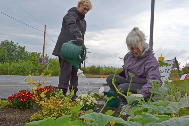 Bernita Sanstad and Janet Ploof plant chrysanthemums along Second Street to ready the gardens for fall.