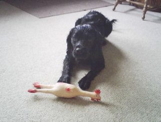 Dakoda with her prized possession that she may or may not have acquired legally.