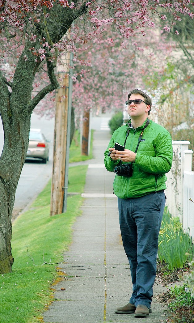 Langley Community Planning Director Jeff Arango walks along a section of First Street recording the presence of cherry trees in the right of way. Langley is working on a new tree protection ordinance and Arango is performing a tree inventory.