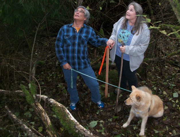 Clark and Marcia Monma along with their dog Galina pause during a walk through the forest near where a cell tower is proposed. There are markers on stakes and on some of the trees