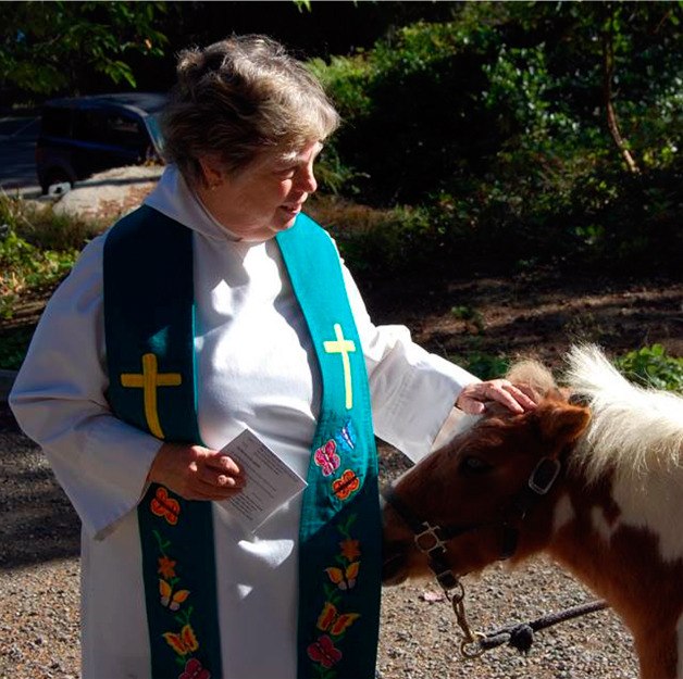Rev. Susan Gaumer blesses a miniature horse at the Blessing of the Animals on Oct. 4 at St. Augustine's in-the-Woods Episcopal Church in Freeland.