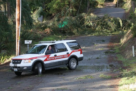 Fire District 3 Assistant Chief Mike Cotton turns around after inspecting a tree that was blocking Lakeside Drive near Goss Lake on Monday.