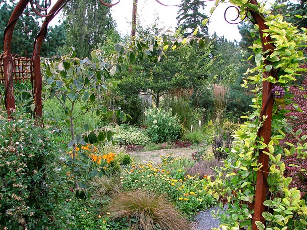 Landscaping around Link’s home provides complex habitat and food sources for birds and wildlife.