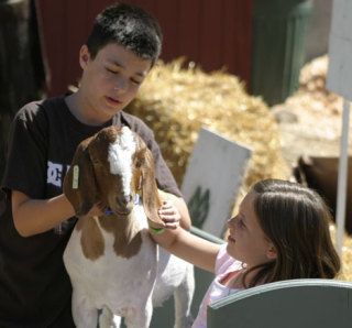 Riley and Hannah Rench spend some quality time with their Boer meat goat Tubsy the day before the Island County Fair begins.