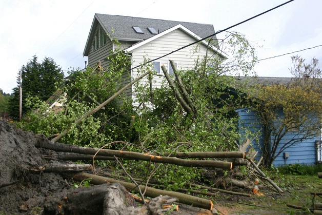 A landslide on Hastings Road blocks through road access. The mud
