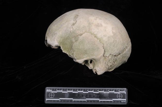 The Island County Sheriff's Office is looking for help in solving the case of a partial skull that was found on the beach of Useless Bay near Maxwelton Road. The sheriff's office said two visitors walking on the beach found the human cranium in the surf along the tide line on Nov. 26. Anyone who might have any additional information about the identity of this subject