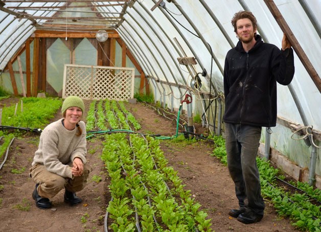Annie Jesperson and Nathaniel Talbot take a break from work in their greenhouse at Deep Harvest Farm in Langley.