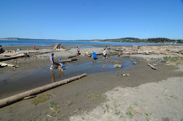 Construction to resolve drainage issues on Maxwelton Road are set to begin this month.