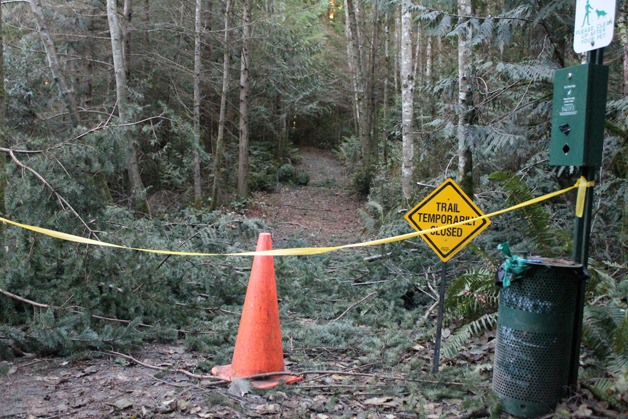 Tuesday’s windstorms caused 40 trees to be knocked down across Community Park’s plethora of trails and will reroute this weekend’s Turkey Trot 5K.
