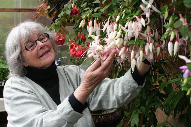 Molly Cook admires some of the greenhouse flowers at Sally’s Garden in Coupeville. Her new novel features a character who finds respite in the glories of the greenhouse.