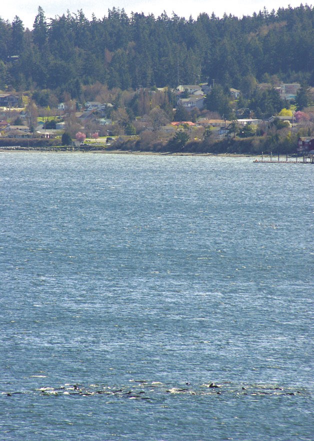 Brian Kelly / The Record