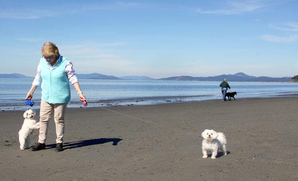 Visitors enjoy walking their dogs on the beach at Joseph Whidbey State Park in late April. The park was under consideration for privately-financed development.