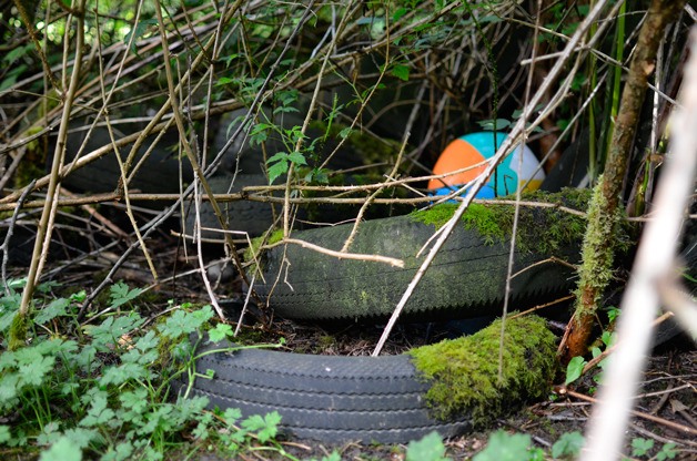 Old tires in a blackberry patch on city property are raising a fuss among some city residents. They’re located in the greenbelt between the middle school and Suzanne Court.