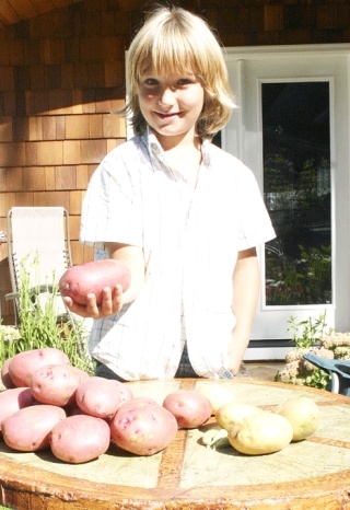 JaNoah Spratt shows off some home-grown potatoes on Thursday. He plans to sell them and other vegetables to benefit Good Cheer’s food bank.