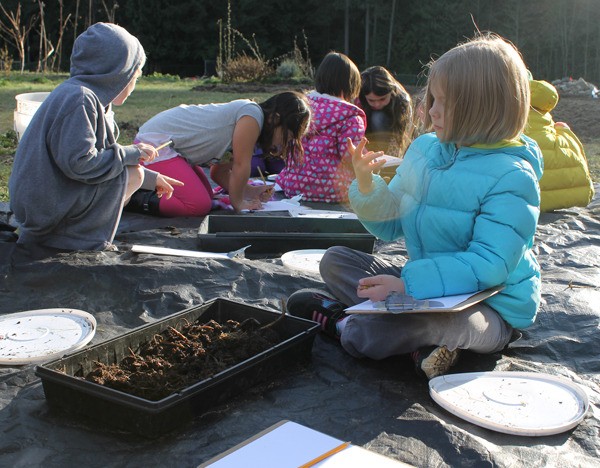 A first grade student examines a worm during a class trip to the School Garden on Monday.