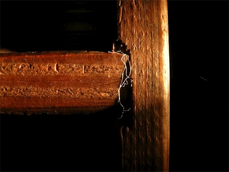 A police photograph of the crime scene shows a close-up of the stairs where Victoria Walker said Matthew Friar tied her up and held her against her will in his familys home in Freeland in February 2006. Police took the fibers in the photograph as evidence.