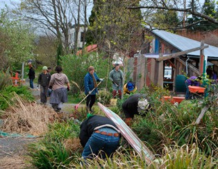 Volunteers weed and clean Bayview Corner ahead of the area's farmers market which opens later this month.