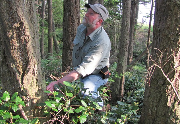 Elliott Menashe explores a forest.