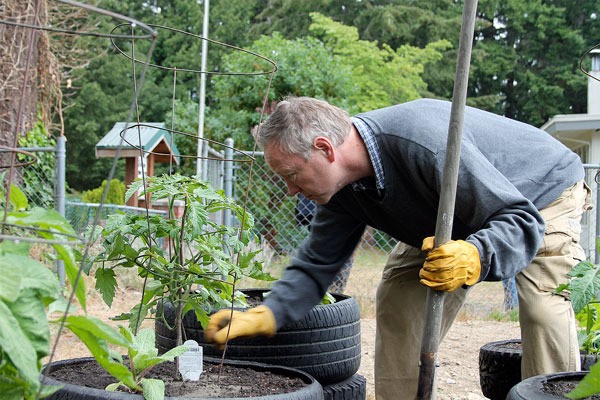 Pastor Mikkel Hustad from St. Peter’s Lutheran Church tends to the church’s community garden.