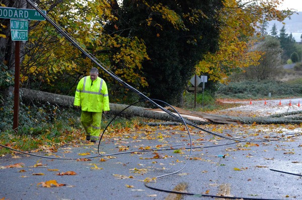 Puget Sound Energy worker Dan Rientjes walks through the area where a tree knocked out power to more than 700 homes in Mutiny Bay Thursday morning.