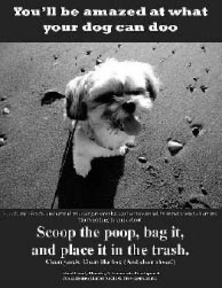 Island County has released this prototype poster for dog-i-pot station signs.