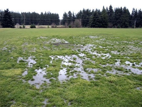 All but one of the five soccer fields along Langley Road have serious drainage problems. One of the fields turns into a swampy marsh at the hint of rain. Part of the $1.6 million the South Whidbey Parks & Recreation District is asking voters to approve on Feb. 19 will be used to renovate the fields