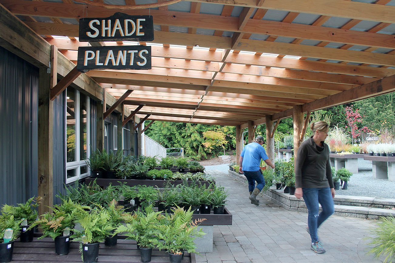 Variety of plants, landscapes on view at new nursery in Clinton