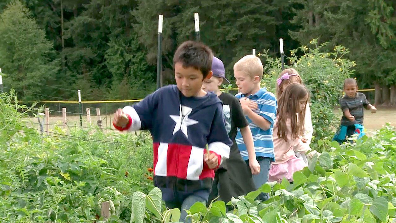 Mark Dworkin photo                                South Whidbey School District’s Garden Program will be featured in an upcoming screening of Cultivating Kids on Nov. 2 at the Clyde Theater in Langley. Shown in this picture is a freeze frame clip of the film.