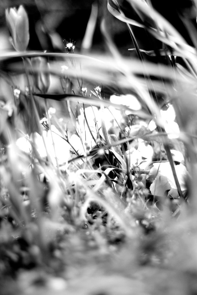 Freeland resident and WWU student Samantha O'Brochta submitted this photo for part of a Macy's flagship store display.