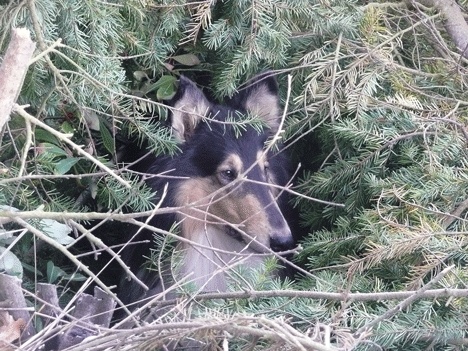 Evan peers up the cliff from his spot on a ledge
