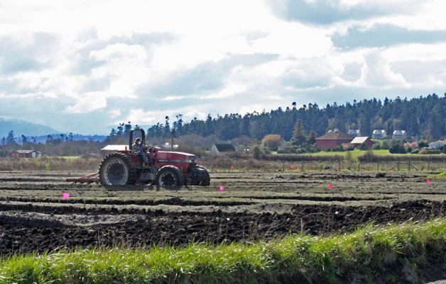 A farmer plows a field near Crockett Lake in Ebey’s Landing National Historical Reserve Thursday. On Tuesday