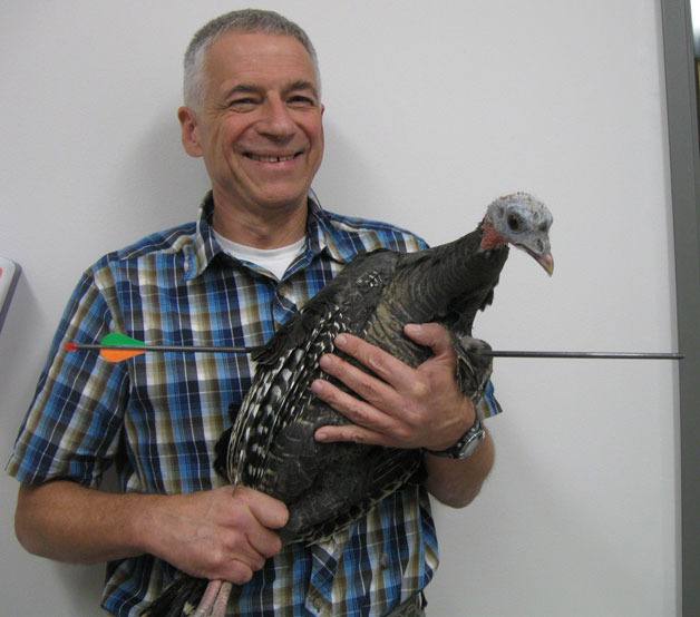 Veterinarian David Parent holds a wild turkey that was shot through the breast with an arrow at his Freeland clinic. The bird was given treatment and is doing well