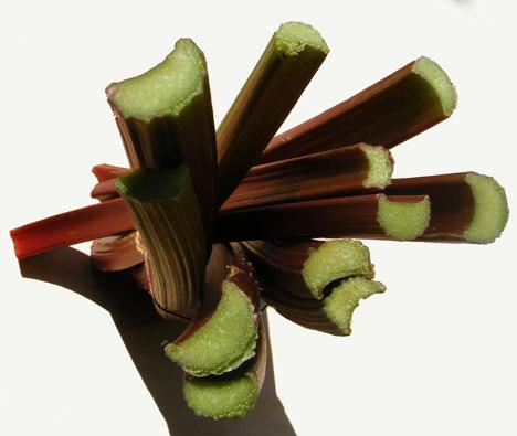 Rhubarb