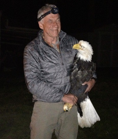 Dr. Dave Parent gets the evil eye from one of the female eagles he separated from a death grip Monday night. The birds injured each other but were able to fly away.