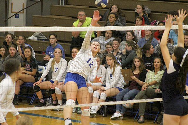Evan Thompson / The Record                                South Whidbey senior captain Kacie Hanson will be relied upon for her leadership during the tournament. She will also be one of the Falcons’ top offensive threats; she averaged 13.75 kills per match in the district tournament.