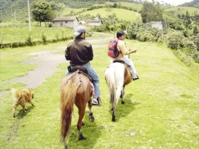 Estevan Munoz-Howard sits atop the most convenient mode of transportation in Ecuador — a horse.
