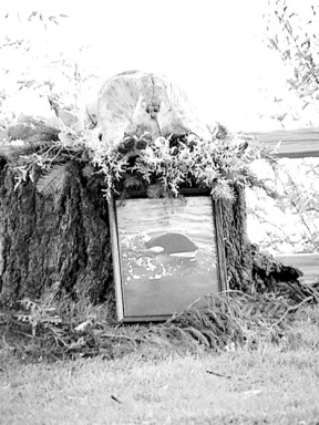 A memorial includes a framed photo taken by John Crowe