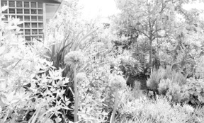 Sue and Warren Fessenden’s garden will be featured in this year’s tour. Their garden boasts easy-care