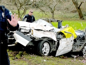 The remains of a 1985 Honda Accord lie amid a Langley orchard’s plum blossoms on Third Street late Monday.