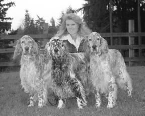 Melissa Newman has been breeding English setters for 17 years. Here with three of her champion dogs