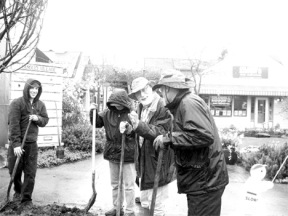 Hal Seligson and other volunteers planted the trees in the pouring rain. Seligson said helpers slipped ankle-deep into the mud