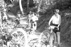 In their first transition