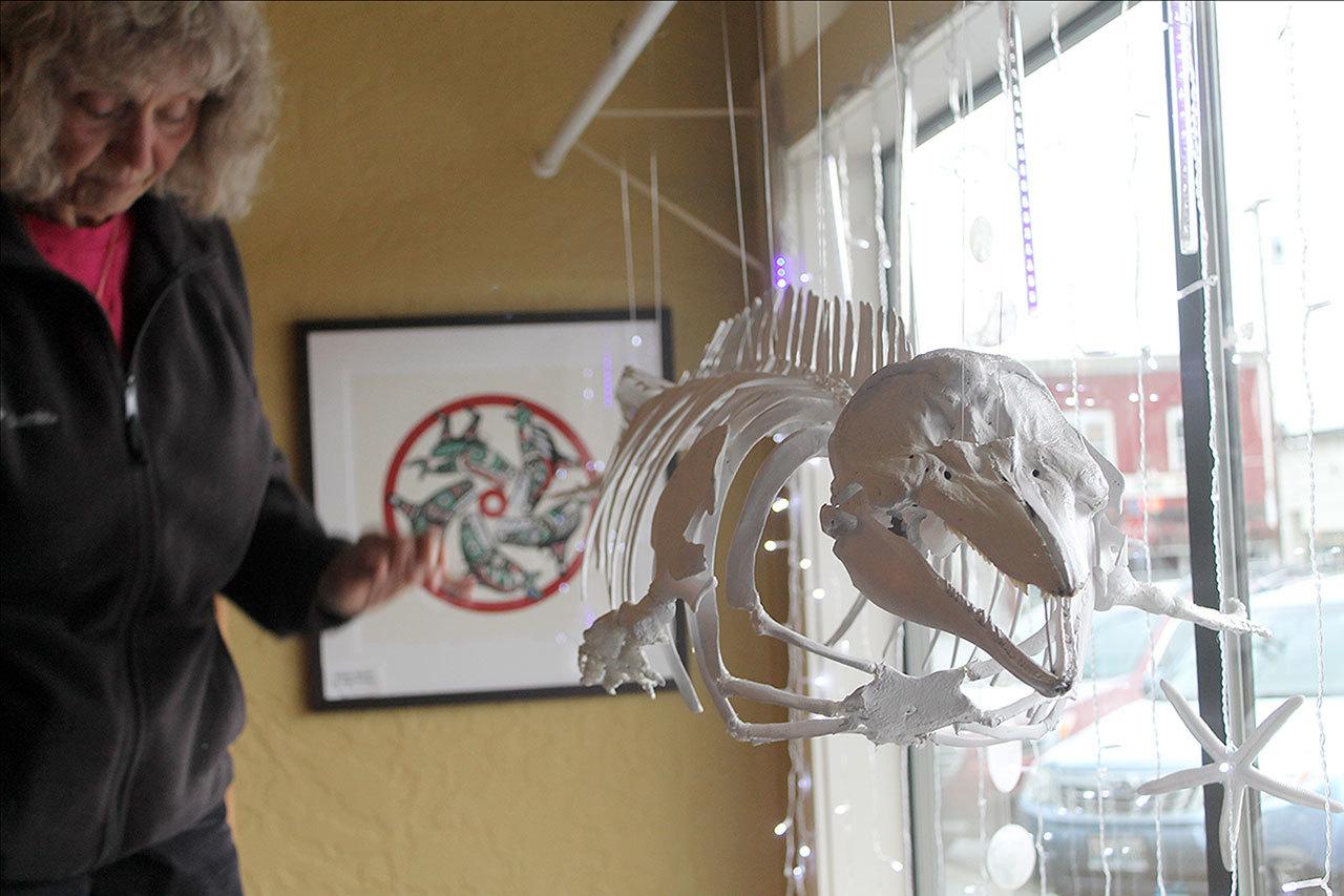Evan Thompson / The Record                                A porpoise skeleton called “Maxine” was recently installed at the Langley Whale Center.