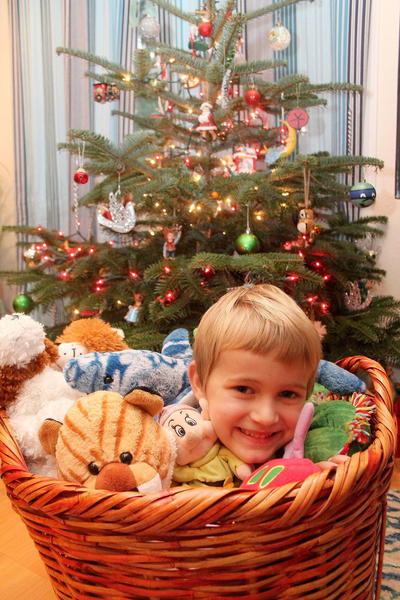 Record file                                Weston Dill cozies up with a basket full of stuffed animals in 2014. Dill collected donations for stuffed animals two years ago.