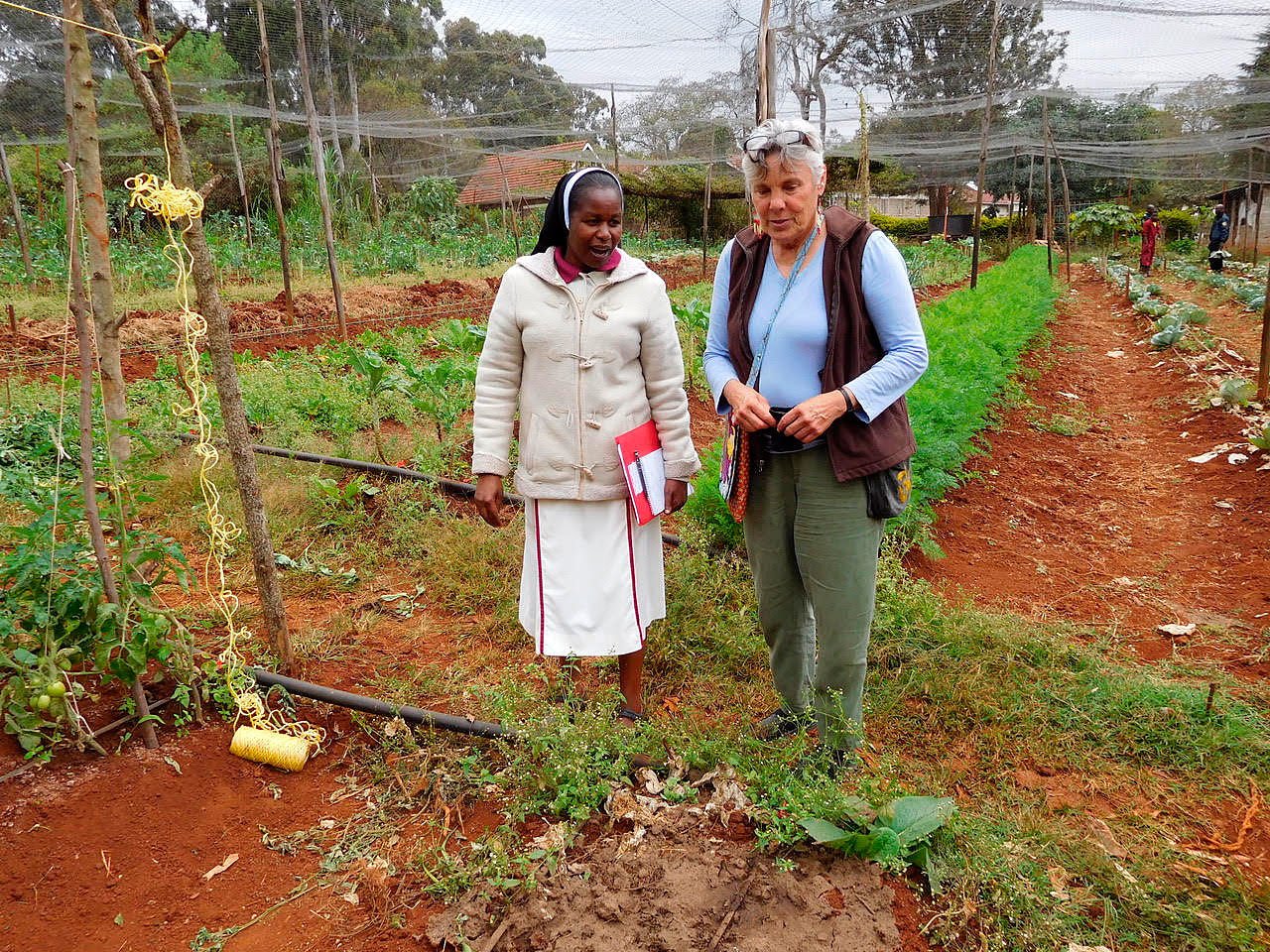 Contributed photo — Anza Meunchow (right) is taken on a tour of a convent’s community garden in Nairobi. The nets that cover the garden is used to keep out monkeys, which are one of the primary pests to Kenyan farmers.